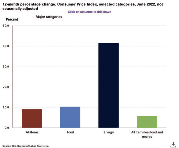 consumer price index chart june 2022