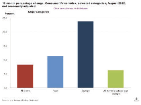 consumer price index cpi august 2022