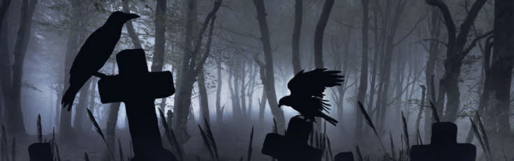 crows in spooky graveyard