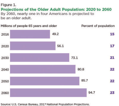 older adult population